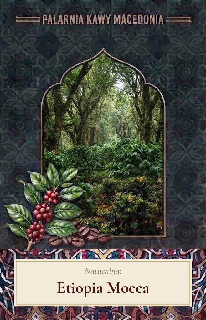 Kawa Etiopia Mocca Mocha naturalna arabica